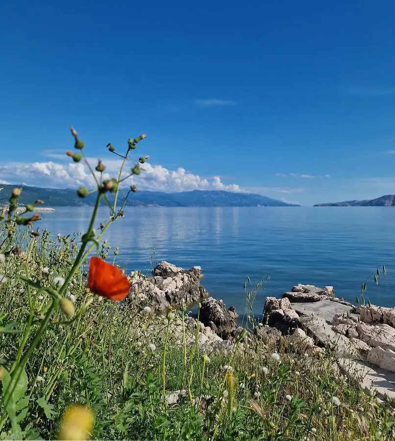 Blue Seagull - Seafront Holiday Home Novi Vinodolski 0*,  Croatia